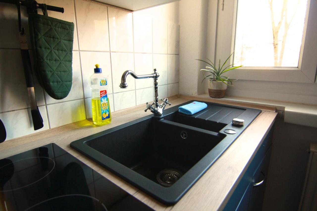 Whg./Flat Am Grossen Garten In Dresde Exterior foto
